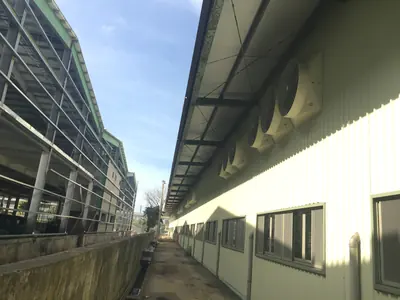 54 吋負壓喇叭扇：廠房外牆整排安裝