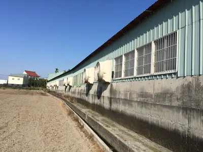 54 吋負壓喇叭扇：長型廠房外牆整排安裝