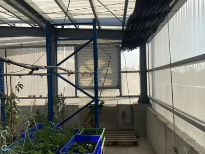 54 吋負壓喇叭扇：溫室牆面安裝