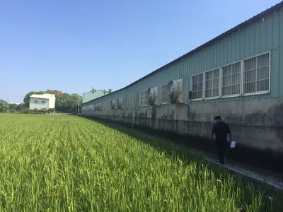 54 吋負壓喇叭扇：廠房外牆整排安裝